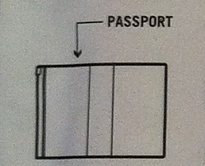 Чехол для паспорта с 3мя отделениями, цвет черный